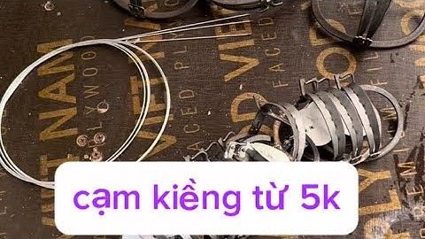 cạm kiềng 9cm ,14cm bẫy chuột đồng,chuột thịt,chuột kinh tế .lh 0964502643