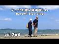 【沖縄暮らしvlog】主人の誕生日/沖縄の今日の海/石川みほそまつりと花火/フライパンで卵と野菜のホットサンド/具志川ビーチでのんびり