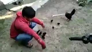 video pendek lucu status whatsapp #sangatkejam