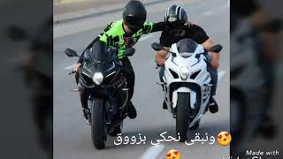 اسود ولد اسود