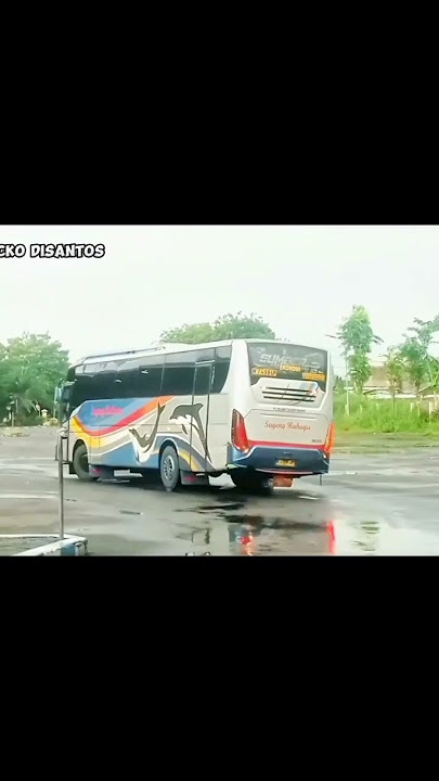 SUGENG RAHAYU 'COBRA STYLE 7498 !! #busjatim #sugengrahayuekonomi #shortvideo