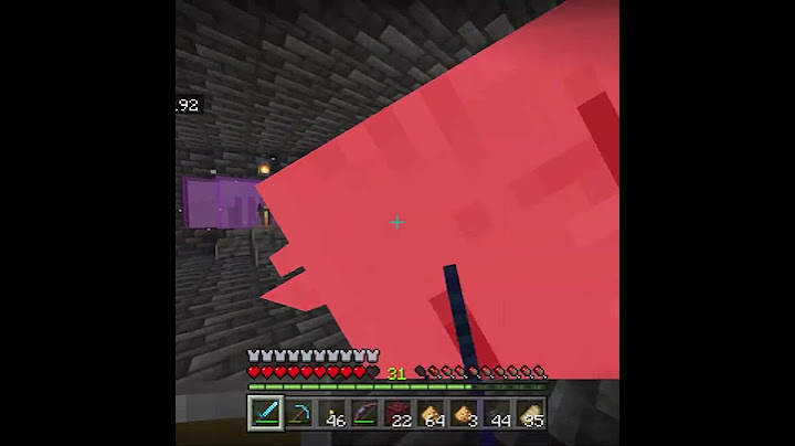 A ghast has spawned in my nether hub!!! - #minecraft #shorts
