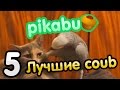 Лучшие coub по версии PIKABU. Часть 5