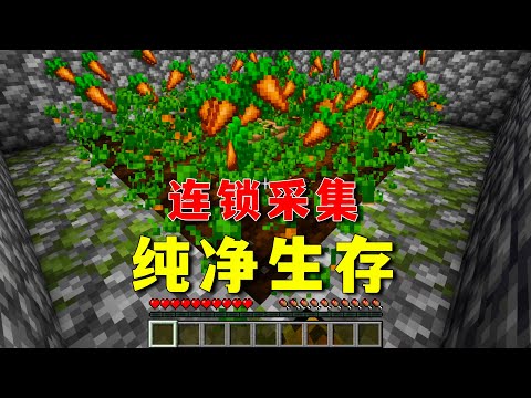 【图图图酱吖】 我的世界：原版MC也有連鎖採集，學了就能用的小特性！