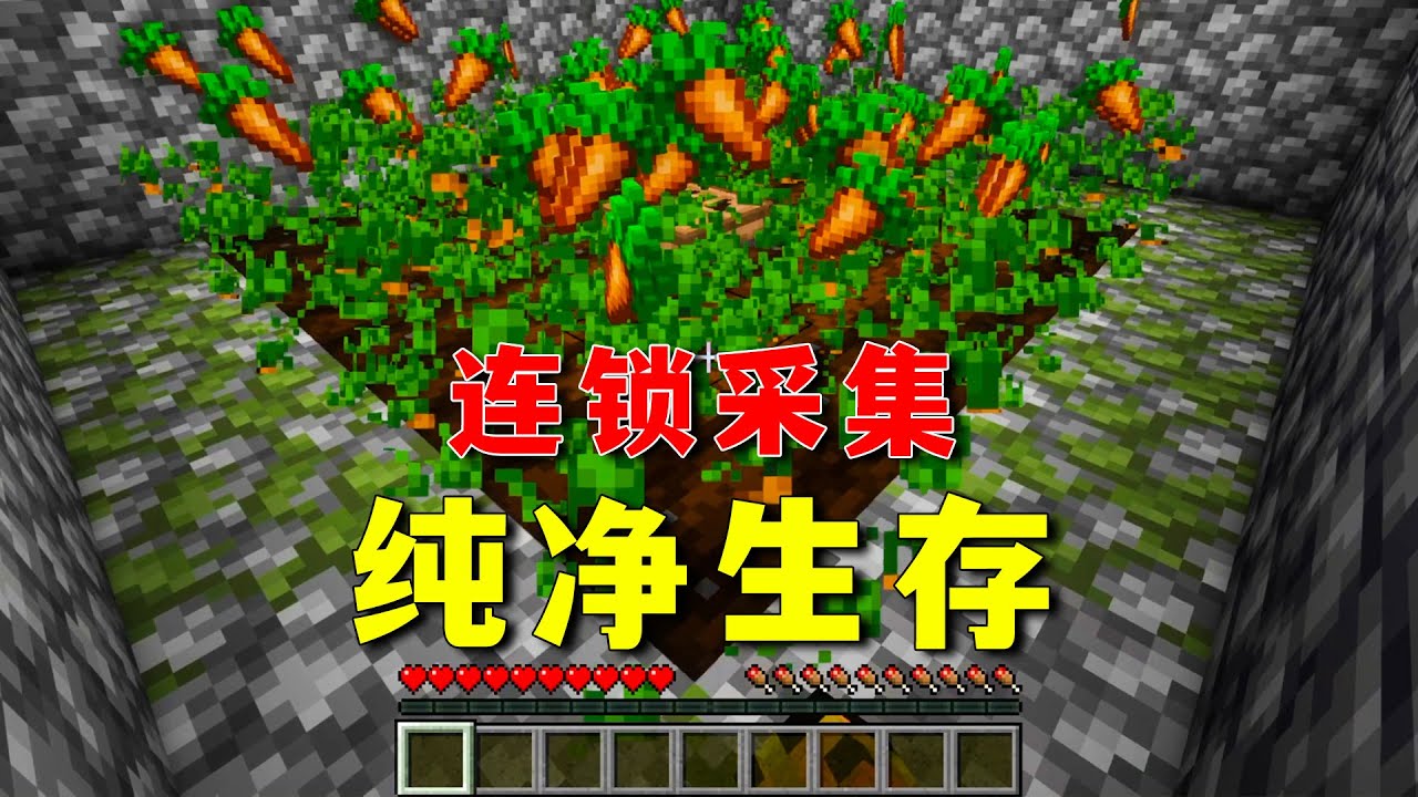 【图图图酱吖】 我的世界：原版MC也有連鎖採集，學了就能用的小特性！