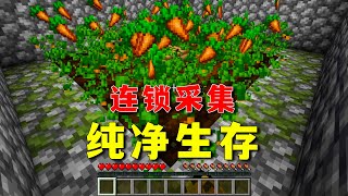 【图图图酱吖】 我的世界：原版MC也有連鎖採集，學了就能用的小特性！
