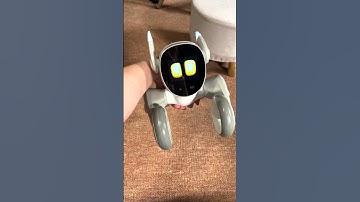 Loona. What happens if you pick your Loona up