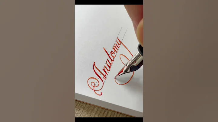 Anatomy - handwriting with flex fountain pen #fountainpen #satisfying #handwriting #calligraphy
