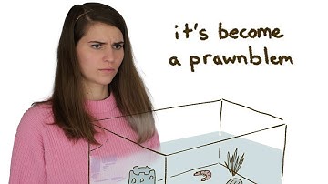 Cybersecurity "Experts" suck at coding.  It