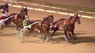 Vidéo de la course PMU GRAN PREMI DIADA DE MALLORCA