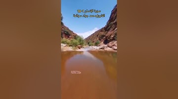 سورة الانسان 01-18 : القارئ/محمد جواد سوالمة