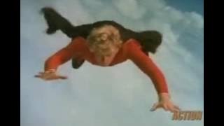 The Greatest American Hero  -  It's Only Rock And Roll