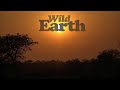 WildEarth - Sunrise - 18 October 2020