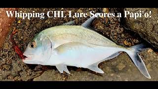 Spinning Soft Lure Scores on my Stradic Before The Storm Hits! screenshot 3