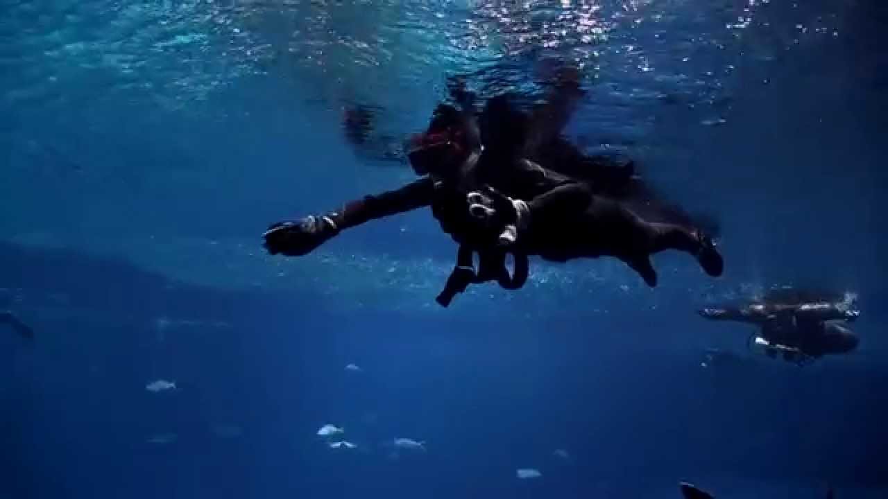 Veterans Immersion Program Georgia Aquarium's Veteran Immersion Program - YouTube