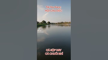 Chuối hay sộp nhỉ #hoicaudiec #cadiec