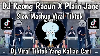 DJ KEONG RACUN X PLAIN JANE MASHUP SLOW FULL SONG THE LATEST VIRAL TIKTOK TREND 2026 THAT YOU'RE ...