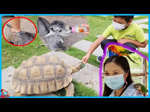 น้องบีม | จับหางแพะ เที่ยวราชบุรี ตามธรรมชาติคาเฟ่ 1/2