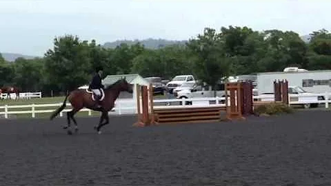 Super Flashy and Sandy Lytle