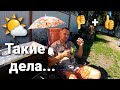 😱ХИЩНИКИ АТАКУЮТ / НЕСЕМ ПОТЕРИ / Подарили мангал / Сад и огород / Сенокос / Отдых в деревне