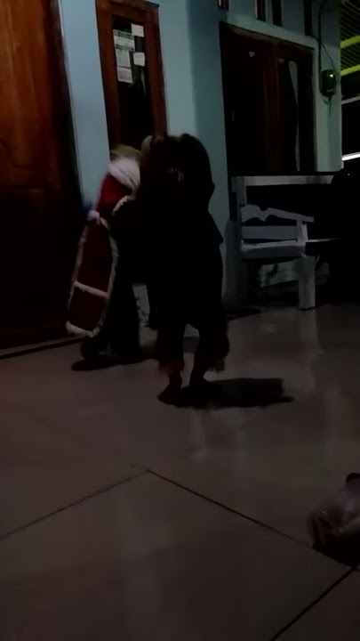 Reog vs barongsai 😀