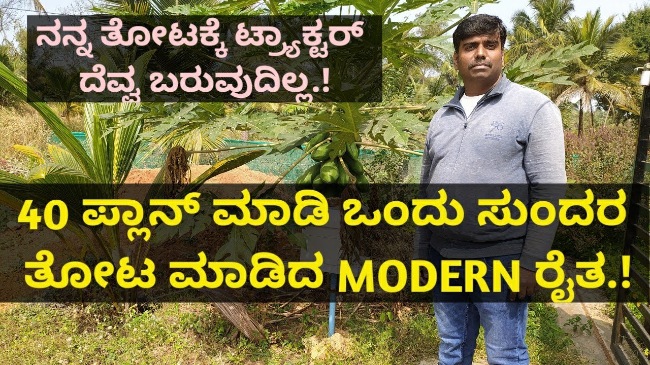 40 ಪ್ಲಾನ್ ಮಾಡಿ ಸತತವಾಗಿ ಆದಾಯ ಬರುವಂತಹ ತೋಟ ಮಾಡಿದ ಮಾಡ್ರನ್ ರೈತ..!