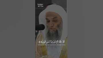 فضيلة الشيخ أ.د. فيصل غزاوي || فما يكذبك بعد بالدين || سورة التين