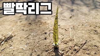 빨딱리그 / 배스낚시 screenshot 3