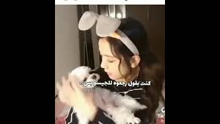 تعامل ليسا مع الكلاب?❗دالقوم_تستطيع?