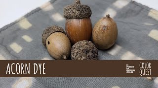 видео: КАК СДЕЛАТЬ НАТУРАЛЬНЫЙ КРАСИТЕЛЬ ИЗ ЖЕЛУДЕЙ | ОРГАНИЧЕСКИЙ КРАСИТЕЛЬ | БЕЖЕВЫЙ, КОРИЧНЕВЫЙ, ЧЁРН... картинка: КАК СДЕЛАТЬ НАТУРАЛЬНЫЙ КРАСИТЕЛЬ ИЗ ЖЕЛУДЕЙ | ОРГАНИЧЕСКИЙ КРАСИТЕЛЬ | БЕЖЕВЫЙ, КОРИЧНЕВЫЙ, ЧЁРН...