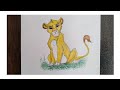 Pencil with pencil colour drawing of a  lion simba  how to draw step by step little simba lion