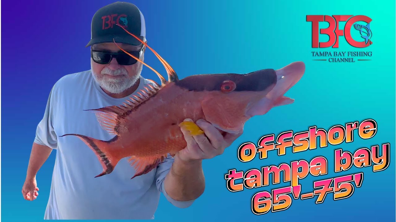 В открытом море у залива Тампа, на глубине 65-75 футов.