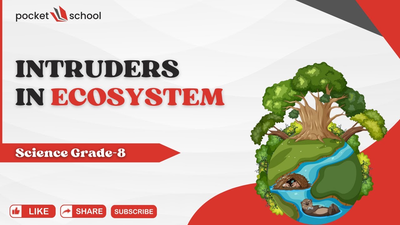 Ecosystem Invaders! How Intruders Change Nature 🌍 | Grade 7 Science ...