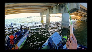 Big Crappie & Whipers | Fishing Bridge Pylons on Lake Conroe