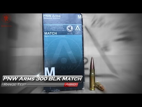 PNW Arms 300 BLK Match Ammo Test