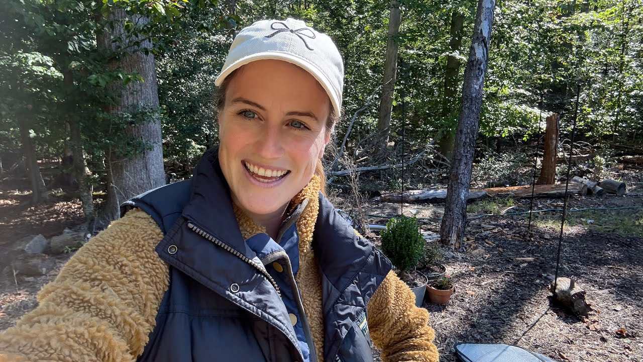 Попытки разделить многолетники и разговоры о трудном годе в саду