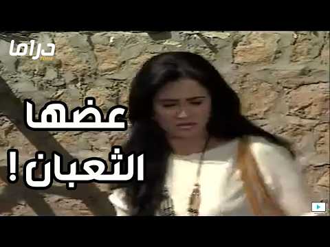 شوف كما تدين تدان ناريمان حصلها نفس اللي عملته في بامبي علشان تسقط حملها