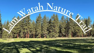 First Person Virtual Hike – Lam Watah Nature Trail to Nevada Beach