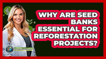 Why Are Seed Banks Essential For Reforestation Projects? - Earth Science Answers