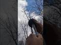 The Summit shot(Free Shot)Range test! #hamradio #pota #sota #antennas #diy #antenna