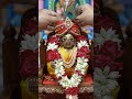 laddu Gopal snan sewa #shyam #shyamkripa #laddugopal #short#bhaktibhajan#manoramakumari