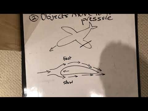 Flight - Bernoulli's Principle