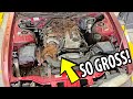 Car sits in field for 10 YEARS & we try to start it...