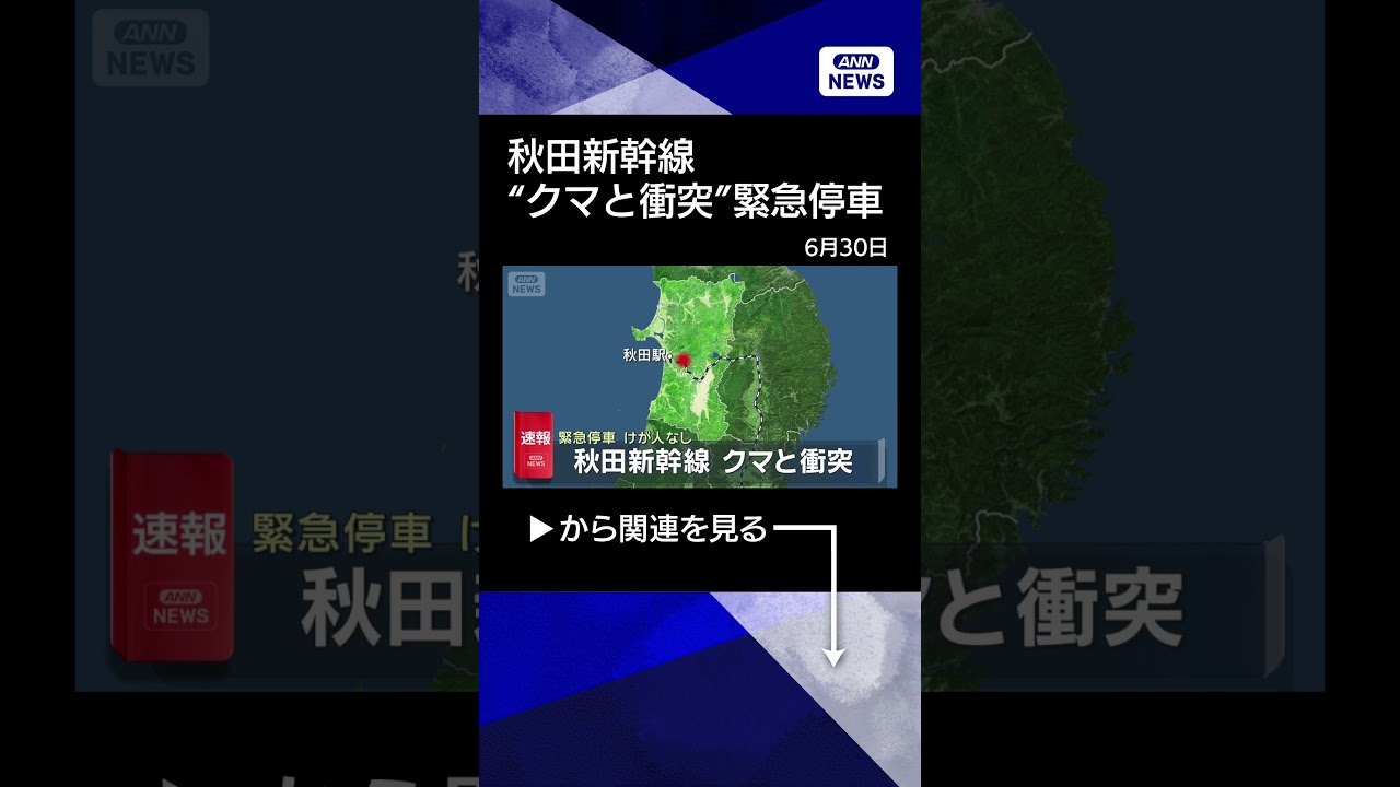 秋田 新幹線 熊 衝突
