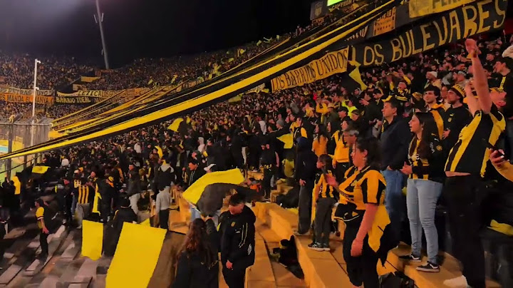 Hinchada De Peñarol vs The Strongest / Libertadores 2024 / Los Dueños De La Fiesta/Campeón Del Siglo