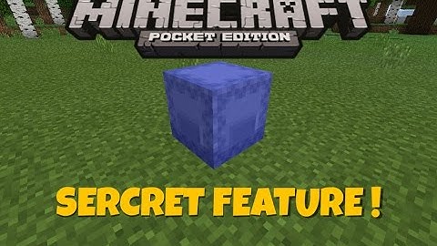 SECRET FEATURES IN 0.17.0 !!! //SHULKER COLOR