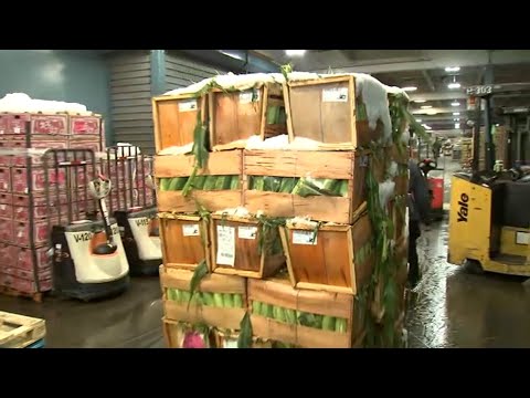 Bronx's Hunts Point market serves up fresh produce ahead of Thanksgiving