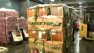 Bronx's Hunts Point market serves up fresh produce ahead of Thanksgiving