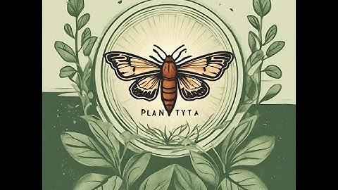 PlanTYTA - Invernadero Inteligente Fundamentos Sistemas Embebidos PROYECTO FINAL con Raspberry PI 4