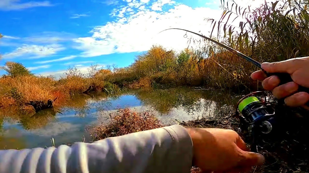 🎣 AM PESCUIT la CLEAN în LOCURILE PREFERATE - Pâraiele mici și sălbatice mi-au fost din nou GAZDE 🤟